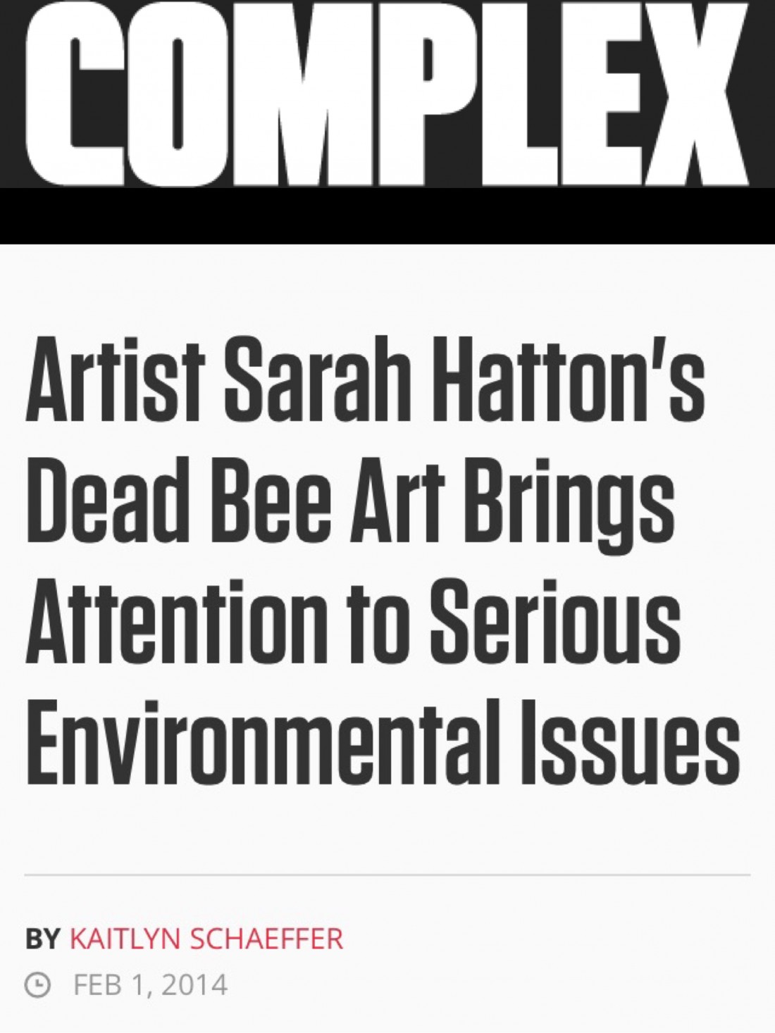 2014/02/01 "Artist Sarah Hatton's Dead Bee Art Brings Attention to Serious Environmental Issues".