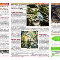 3 page feature in the Newfoundland Herald article