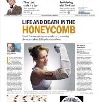 13/11/22 “Plight of the Honeybee: Sarah Hatton’s striking new works carry a warning about an epidemic killing the planet’s bees“. Peter Simpson. The Ottawa Citizen Arts. F1-2.