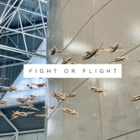 FIGHT OR FLIGHT