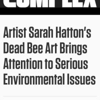 2014/02/01 "Artist Sarah Hatton's Dead Bee Art Brings Attention to Serious Environmental Issues". Kaitlyn Schaeffer. Complex Magazine, New York.