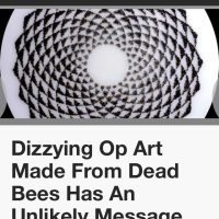 14/01/24 “Dizzying Op Art Made From Dead Bees Has An Unlikely Message” Priscilla Frank. Huffington Post Arts & Culture